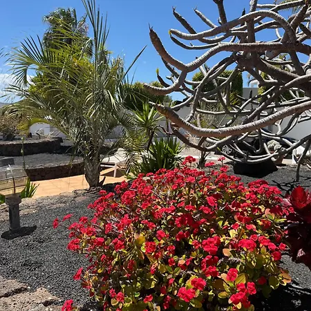 Dora Bella Lanzarote ヴィラ *