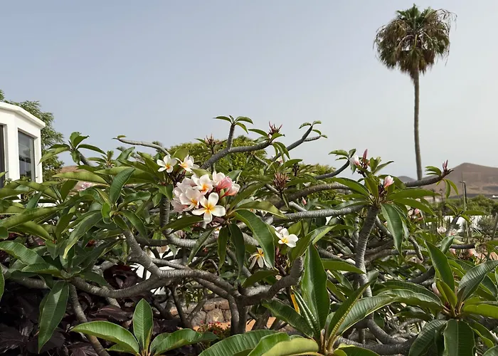 Villa Dora Bella Lanzarote *