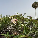 빌라 Dora Bella Lanzarote *