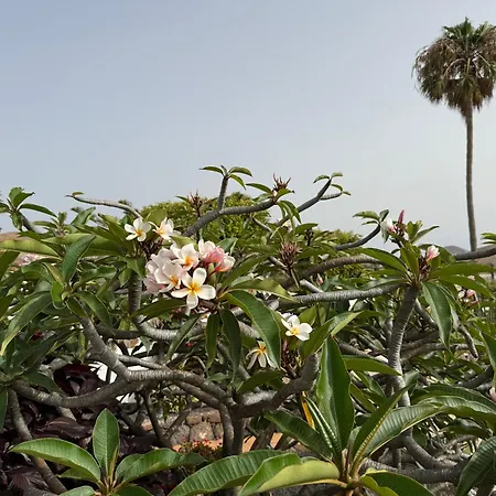 Villa Dora Bella Lanzarote *